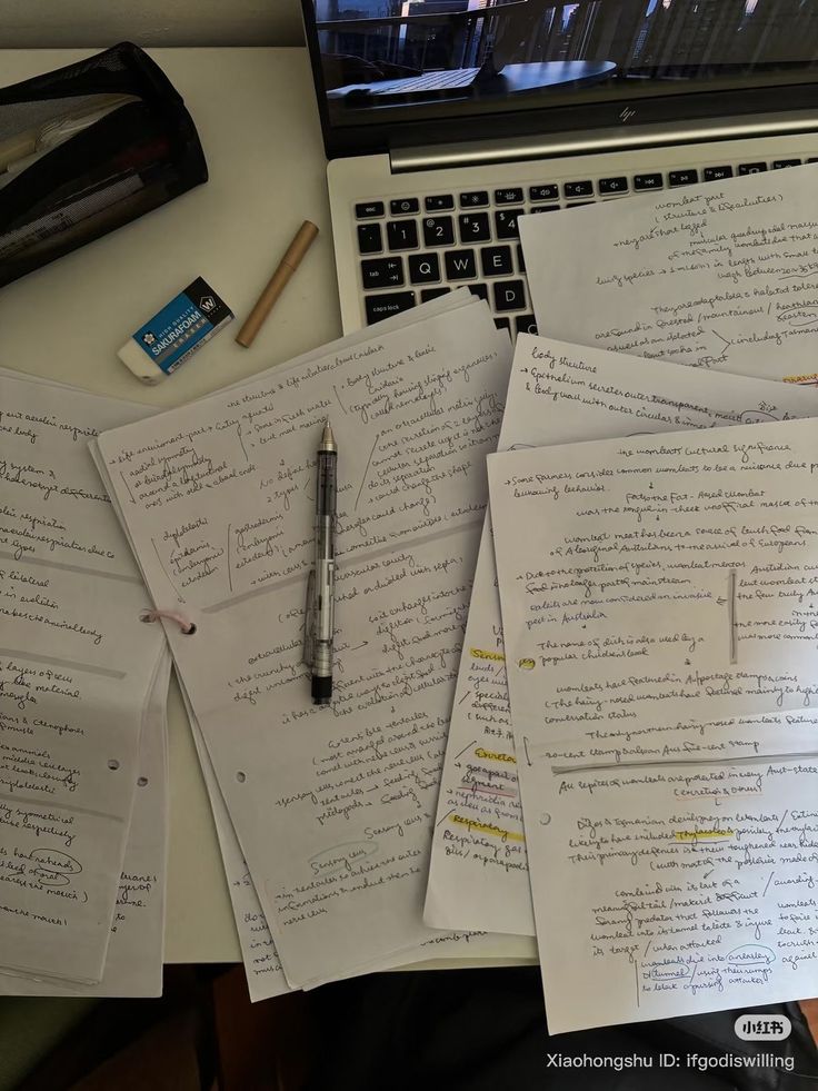 Script Writing